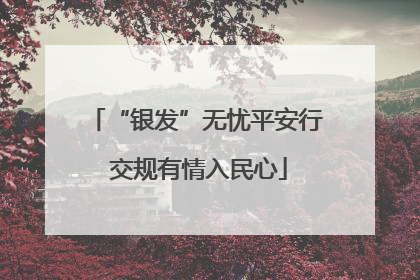 “银发”无忧平安行 交规有情入民心
